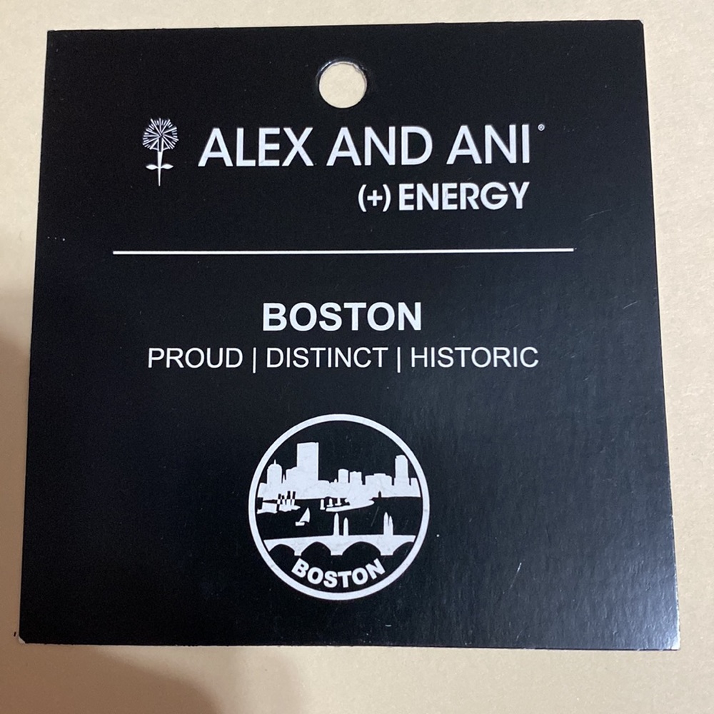 Alex and Ani BOSTON charm bangle